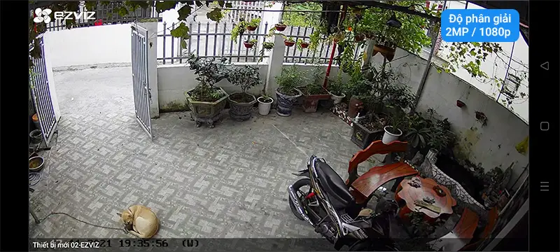 hình ảnh thực tế ban ngày camera ezviz 2MP