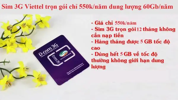 Lắp đặt wifi, lắp đặt camera wifi chính hãng tại tphcm