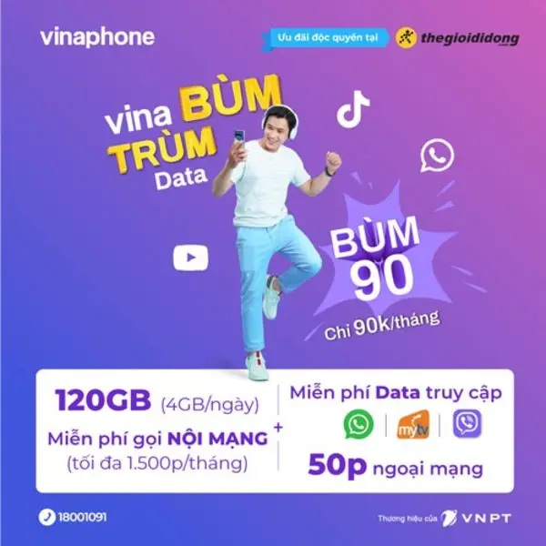 Sim Data Vinaphone