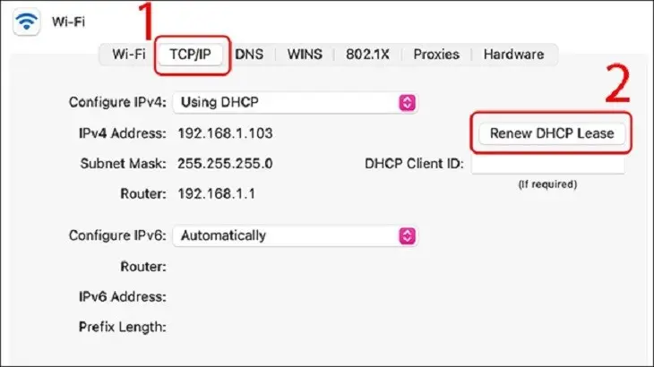 Làm mới DHCP Lease trên Mac để lấy IP mới khi bị xung đột hoặc treo IP