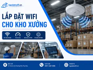 Lắp đặt wifi cho kho xưởng